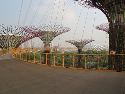 Singapore - Gardens By The Bay, More Pool Time - Nov 9, 2015